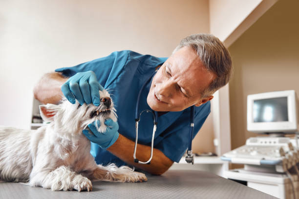 Best Same-Day Emergency Appointments in Long Beach, CA